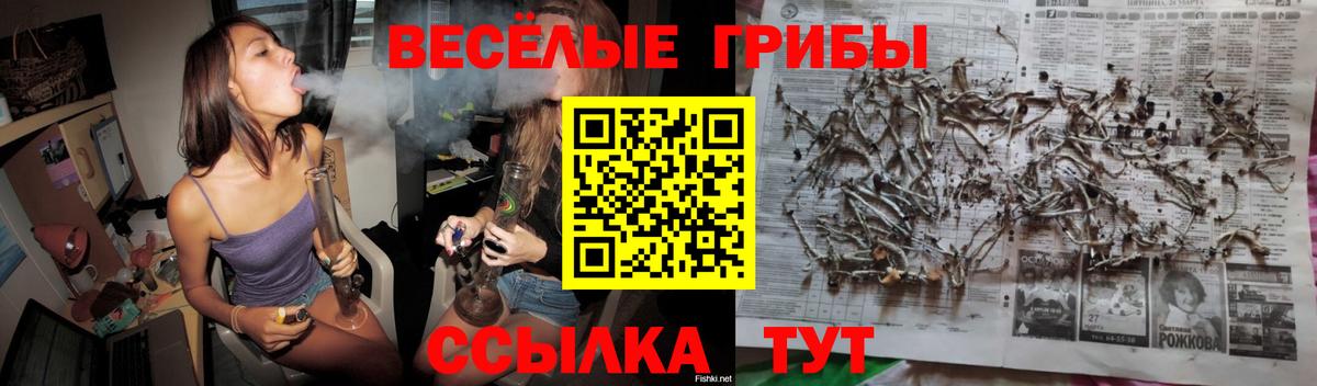 Сорочинск  Псилоцибиновые грибы GOLDEN TEACHER  Вход с VPN  даркнет сайт  Псилоцибиновые грибы мухоморы 